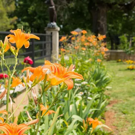 Lovely House Lindi In * Porec