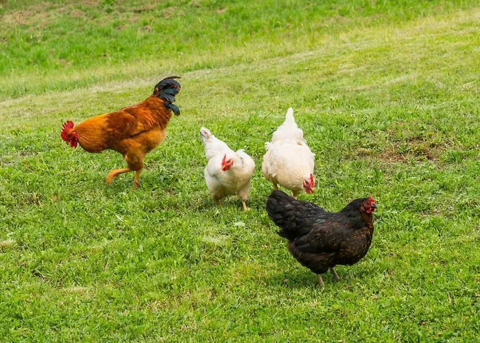 Lovely House Lindi In アパート ポレッチ